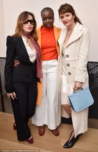 4938973800000578-5394233-Celebrity_trio_Gina_Danai_and_Helena_posed_together_at_the_prese-a-2_1518723226538.jpg