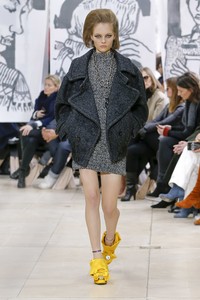 FRan Summers Miu Miu Fall 2018 RTW PFW.jpg