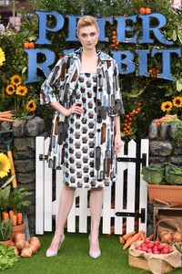   edeb110318BZNimage127.jpg
