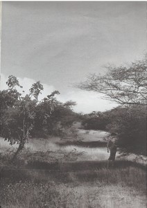 amica2000 5.JPG