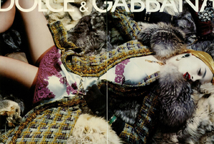 5ab843436e3ee_Meisel_Dolce__Gabbana_Fall_Winter_04_05_02.thumb.png.9a6b36594a8104226d32409ccfe14f5f.png