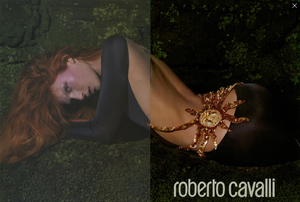 5ab84a31b2db7_Mert__Marcus_Roberto_Cavalli_Fall_Winter_04_05_04.thumb.png.9e1db69841c9942035ae6de7cb10e178.png