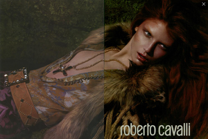 5ab84a8db2711_Mert__Marcus_Roberto_Cavalli_Fall_Winter_04_05_03.thumb.png.6780b718d210c39d2d052c09cd7c04f1.png