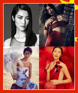 C - Liu Wen.png
