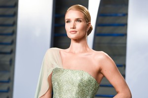 65284653_rosie0304picturepub-25.jpg
