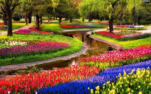 Keukenhof.thumb.jpg.07ba3d12d2340d8af6a9ba7ef7f6f871.jpg