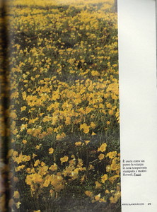 Scan10053.JPG