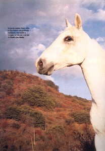 4.thumb.jpg.bb779fa7b8feb95547ec932aeee90a12.jpg