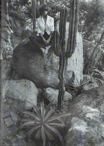 Scan10020.JPG.75e5113b82ba0e8e65db00f852dfb73e.JPG