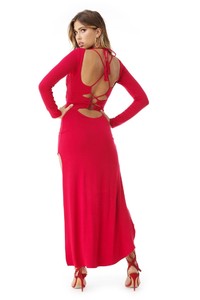 omaryan_am800-rx_red_back.jpg