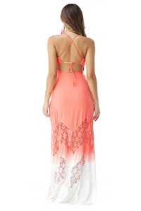 paderau_aj864-15g_pun_back_1.jpg