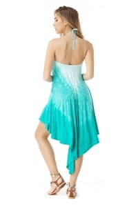 raja_aj674-14f_mnt_back_1.jpg
