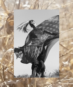   sob250518BZNimage13.gif