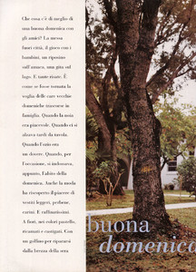 24.thumb.jpg.0dff887492a45fa91eca9bc0ca40b113.jpg
