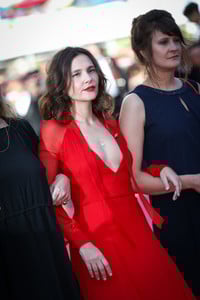   vle140518BZNimage111.jpg