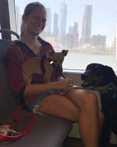 IMG_20180502_205115_600.thumb.jpg.a6a493a00155b3ad443679d1b981b482.jpg