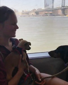 IMG_20180502_205245_592.thumb.jpg.1d5c7e920103876ab36b344af4bb624e.jpg