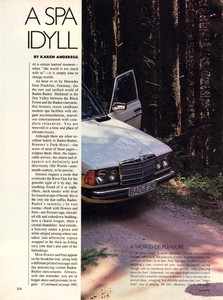 Piel_Vogue_US_December_1984_05.thumb.jpg.1523da84adb15044fdb9fe4b68bc66fc.jpg