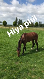 ediebcampbell_igstory_10may18_2.thumb.jpg.5e4ad4ab63a7c12e667058c06cb07288.jpg