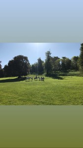 ediebcampbell_igstory_7may18_1.thumb.jpg.8dfb33b9e6e4be11e0730cd9f657b20f.jpg