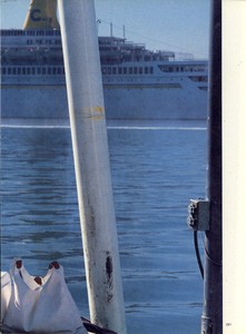 Piel_Vogue_US_April_1986_08.thumb.jpg.acab2c9d7a3193d876755f13b54eb02f.jpg