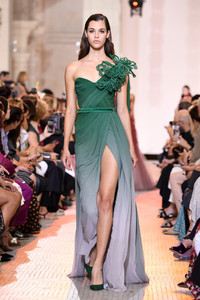 1226990202_ElieSaabRunwayParisFashionWeekHautezSUAzEPxBXqx.thumb.jpg.b7a0d317637af5afbe6db54928901a83.jpg