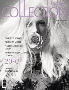 Fashion Collection 312.jpg