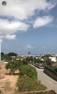 20180701_094715.thumb.jpg.78363af64a02fc0200379ec2fb13c36d.jpg