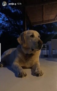 20180701_094738.thumb.jpg.4d1dfe419c8c0f1cd3be79b6a3d3cd97.jpg