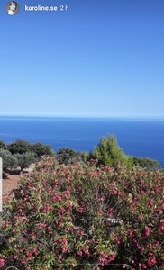 20180725_082417.jpg