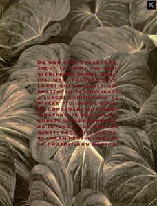 Sole_Ferri_Vogue_Italia_June_1989_12.thumb.png.78129bcd2db3289a35b7a2d20de53035.png