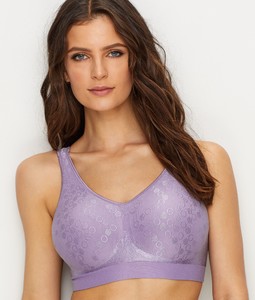 bal3488_purpleshadow.jpg