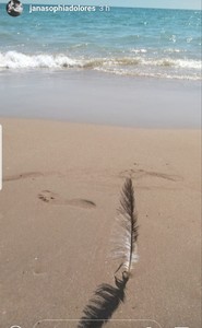 20180820_194755.thumb.jpg.1a0d92c0719f5bd951d501c0b498867f.jpg