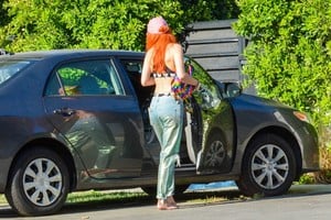       bel040818BZNimage113.jpg