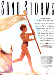 803579993_NewYorkMagazine15Jan1990sandstormsbychuckbaker01.thumb.jpg.43102b17095ecb110071ae3a4ac2f027.jpg