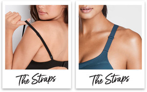 animated.0818-straps-desktop.2frm.6ftp.434x548-v3.jpg