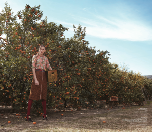 orange-county-spread3.png