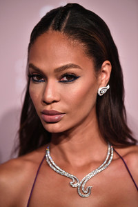 Joan+Smalls+Rihanna+4th+Annual+Diamond+Ball+LQPa-fQlPm4x.jpg