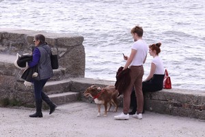         tom200918BZNimage1009.jpg