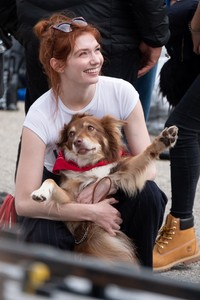         tom200918BZNimage1027.jpg