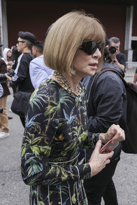 Anna+Wintour+Street+Style+New+York+Fashion+dgK6BYxPSCjx.jpg