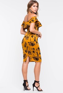 104773382_ZM_71_BACK.jpg