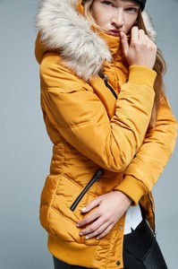 Tessa Coenen - Mister lady 1.jpg