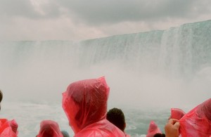 983015-800w.thumb.jpg.c3918c8e1298514227750bebabc52c21.jpg