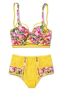 victorias-secret-mary-katrantzou-longline-bralette-panty.thumb.jpg.9a617991eb65e318e515345061379be7.jpg