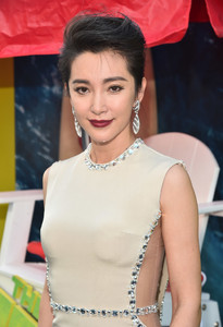 Li+Bingbing+Warner+Bros+Pictures+Gravity+Pictures+MO8vrWIYErQx.jpg