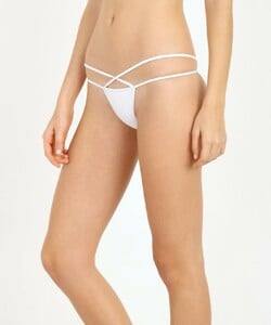 Minimale Animale The Mangrove Brief Conch3.jpg