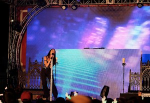        bee011218BZNimage135.jpg