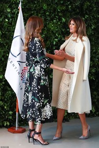 6882880-6450175-Argentina_s_first_lady_Juliana_Awada_left_welcomes_U_S_first_lad-a-28_1543686580315.jpg