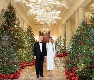 7580024-6508691-Festive_The_two_images_show_the_president_and_first_lady_holding-a-1_1545154544503.thumb.jpg.cec9fad366de2f62d0feaca9a9f5137a.jpg